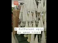 Cute miniature trees Hobby Lobby and is 50 off