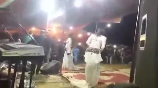                   محمد السويسي               دندنها