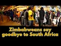Download Lagu HOPE YOU ARE HAPPY ZIMBABWEANS ARE GOING BACK HOME: said one Zimbabwean