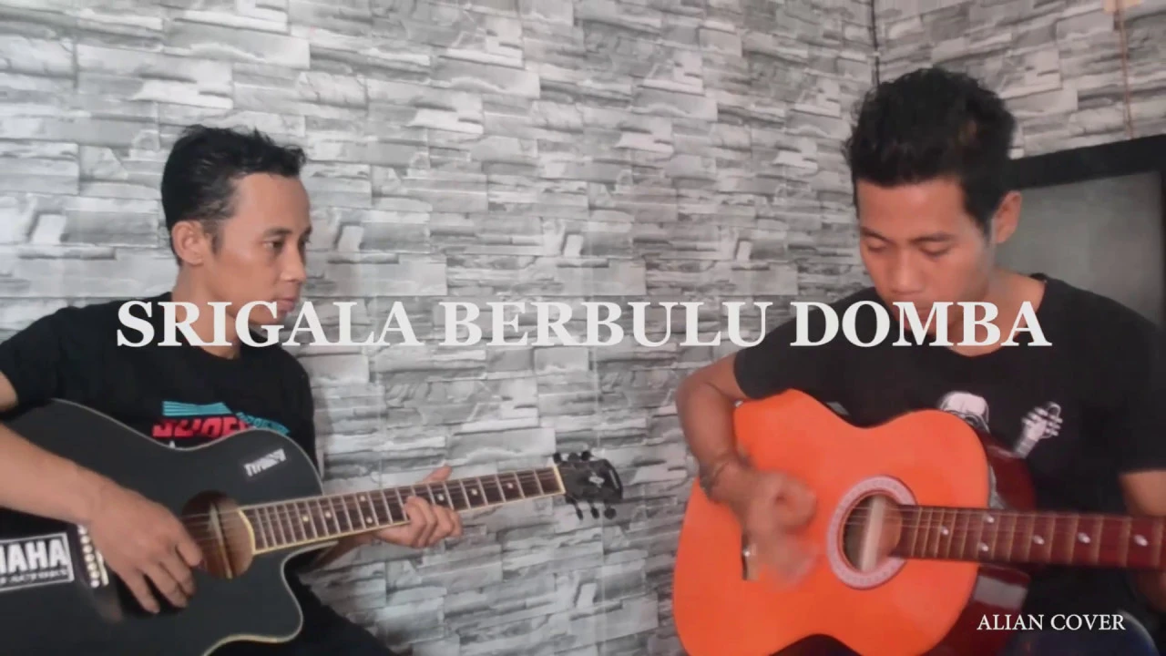 Dangdut gitar akustik | Serigala berbulu domba