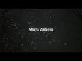 Shaya Zamora - Never Knew [Lyric Video]