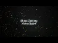 Shaya Zamora - Never Knew [Lyric Video]