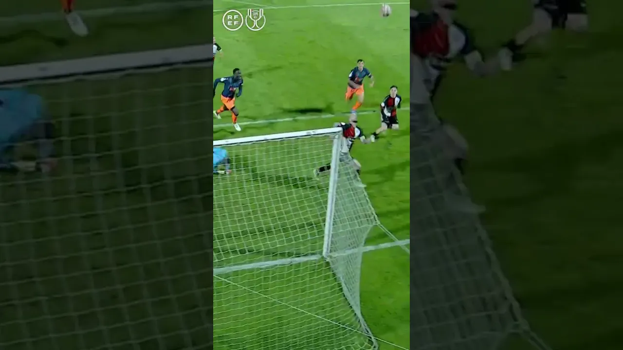 Insane cat reflexes 🐈 Jaume Domènech 🔝