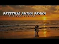 PREETHSE ANTHA PRANA [ SLOWED REVERB ] KANNADA LO-FI SONG LO-FI SONGS 