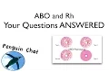Blood Typing Questions PRACTICE Bio Basics