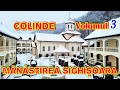 Lagu COLINDE - Volumul 3 - Părintele Ghelasie Țepeș și Obștea Mănăstirii Sighișoara (vol. 3 din 9)