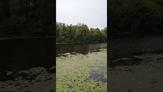 Разговоры Марина Девятова 