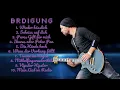BRDigung-Smash hits roundup for 2024--Untroubled