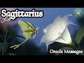 Download Lagu ♐Boogschutter |🔮Een herschrijving van je verhaal is al viraal gegaan in de hemel | Tijdloos