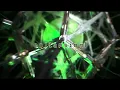 Lamb of God - Bully (Official Lyric Video)
