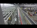 Small Parcel Bag Sorter