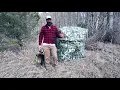 PRIMOS DOUBLE BULL DELUXE GO BLIND