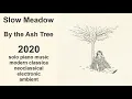 Slow Meadow – By the Ash Tree (2020)