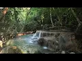 Rainforest Sounds - Water Sound Nature Meditation