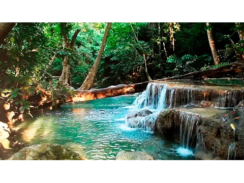 Download MP3 Rainforest Sounds - Water Sound Nature Meditation