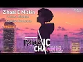 Zihaal E Miskin [Slowed+Reverb] Vishal Mishra, Shreya Ghoshal (Lofi Song) Lofi Music Channel