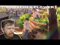 Download Lagu #40 Hana ni Bourei (Ghost In A Flower) - YORUSHIKA REACTION - ULTIMATE YORUSHIKA RANKING #yorushika