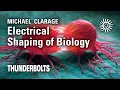 Download Lagu Michael Clarage: Electrical Shaping of Biology | Thunderbolts