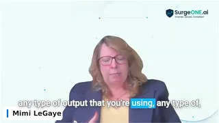 SEC FINRA On AI In 2025 Supervision Enforcement Governance Mimi SurgeONE Ai 