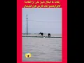 Lagu ناس سمحوا فكولشي وبغاو ينجاو غا براسهم