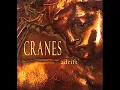 CRANES - Everywhere