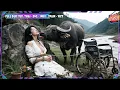 Download Lagu เศรษฐีนีถูกลูกสามคนผลักตกหน้าผา เพื่อชิงทรัพย์ ไม่คิดว่าเธอยังรอดกลับมาล้างแค้น