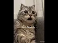 Download Lagu Me And Exams 🥲😂….