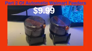 Automatic Walmart Fish Feeder