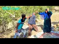 Download Lagu Attack of a wild man on a homeless elderly couple