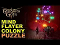 Mind Flayer Colony Brain Puzzle Necrotic Laboratory Locked Door Baldur s Gate 3 BG3