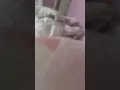 Download Lagu VIDEO BOCIL LAGI GEBUK BANTAL DAN VIRAL