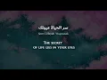 Aseel Hamim - Serr-l-Hayat (Iraqi Arabic) Lyrics + Translation - أصيل هميم - سر الحياة