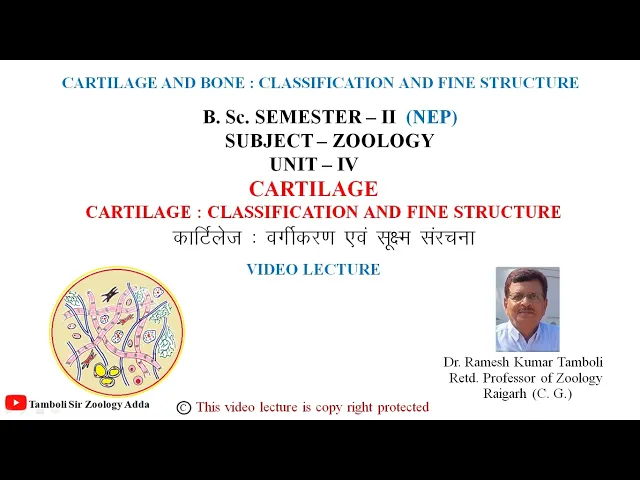 Cartilage: Classification & Fine Structure | B.Sc. Semester II | Zoology | Dr. R. K. Tamboli