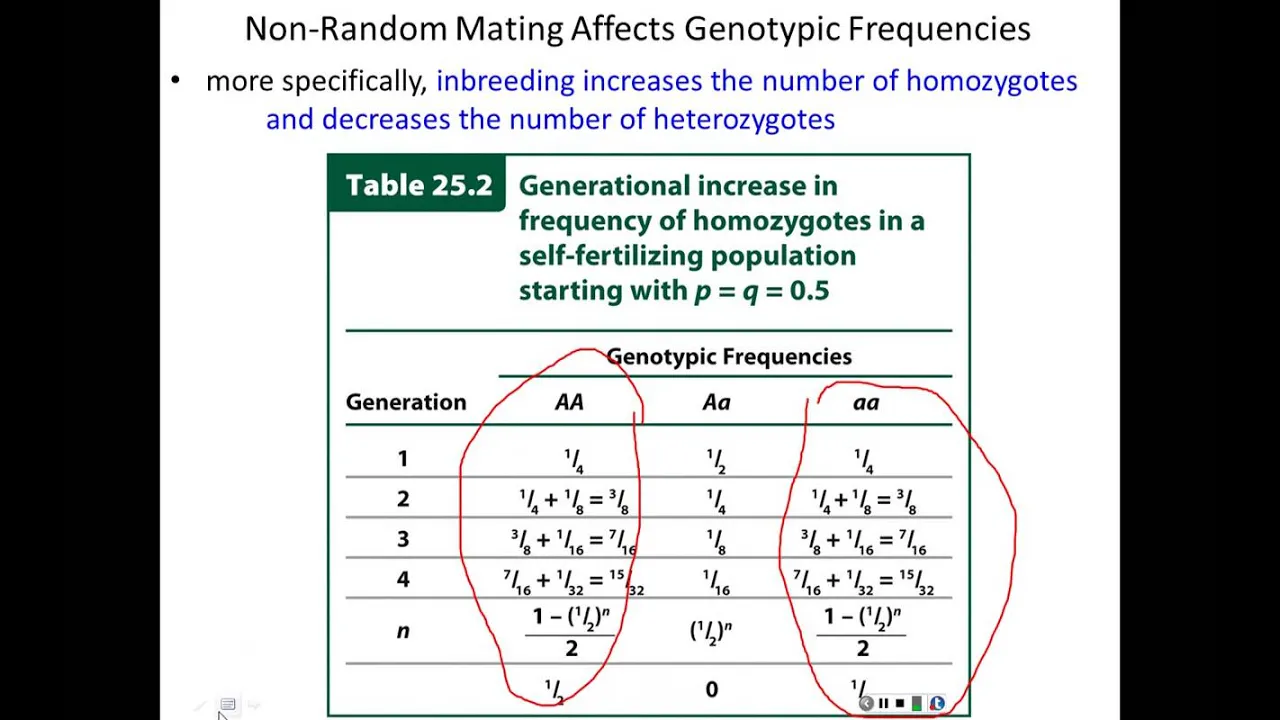 Lecture 19 - Population Genetics - Part 2