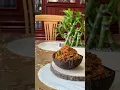 Download Lagu Sri Lankan Famous Coconut Sambol | CRLS Kitchen #sambol #coconut