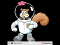 Sandy Cheeks - Caskets - The Only Heaven You'll know