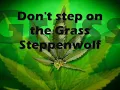 Steppenwolf   Don't Step On the Grass Sam