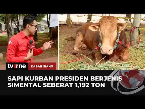 Presiden & Wapres Serahkan Hewan Kurban Ke Masjid Istiqlal