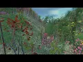 Procedural Tree Generation in Unity using Blendity 1 2