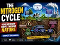 The Nitrogen Cycle How Nitrogen Moves Through Nature