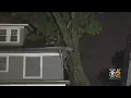Sunday Storms Send Tree Crashing Onto Westfield Home