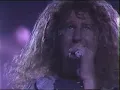 Van Halen - When it's love (live 1989)