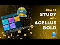 Acellus Gold Study Tips How Vectored Instruction Boosts Performance