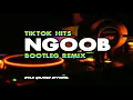 Download Lagu FAJA SKALI X NEW TRENDING TIKTOK NGOOB BOOTLEG REMIX - DJ RYLE GAJANO OFFICIAL