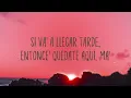 Pantysito - Feid, Alejo & Robi {Lyrics Video} 🦈