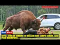 Download Lagu AZAB MENGERIKAN‼️ Kepala Sekolah Sombong Ini Dihajar BISON Sampai Hancur, Tak Sempat Melarikan Diri.