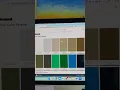 How to build a brand color palette
