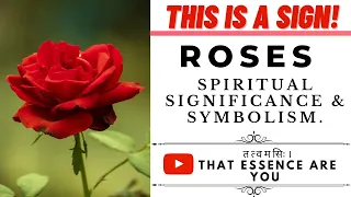 Roses Significance and Symbolism in Spirituality Symbolism of Flowers