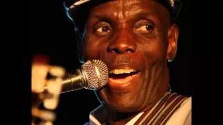oliver mtukudzi wasakara