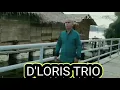 O DINA .Cipt,Edikson naibaho,Cover D'LORIS trio.....